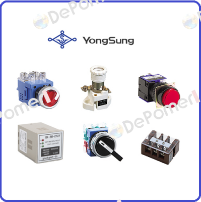 YongSung Electric