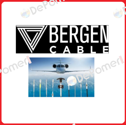 Bergen Cable Technology Llc