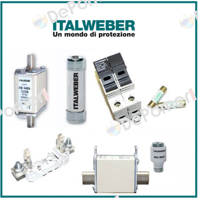 0100125  Italweber