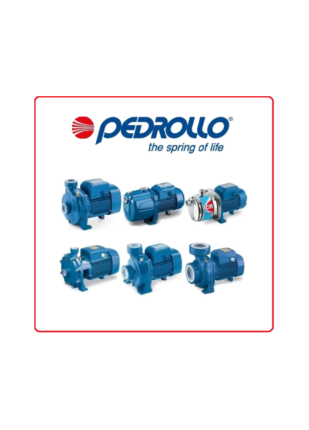 4 BLOCK M 4/14  -  1,1 KW  Pedrollo Water Pumps