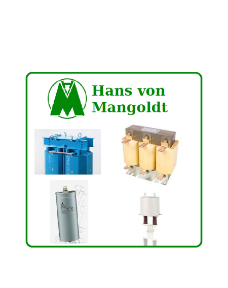 3UI132/72  Hans von Mangoldt