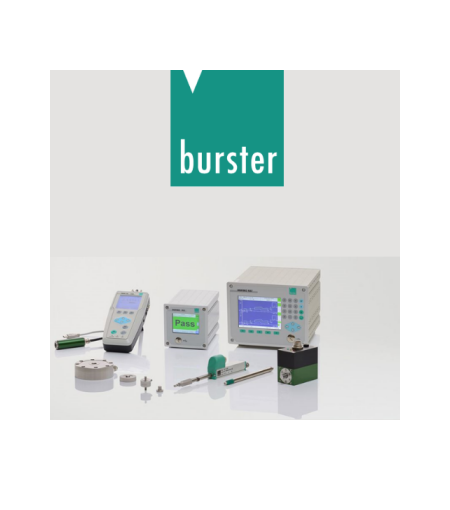 599501-10  Burster