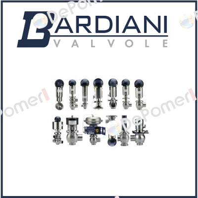 B925 TT VITON SMS63  Bardiani Valvole