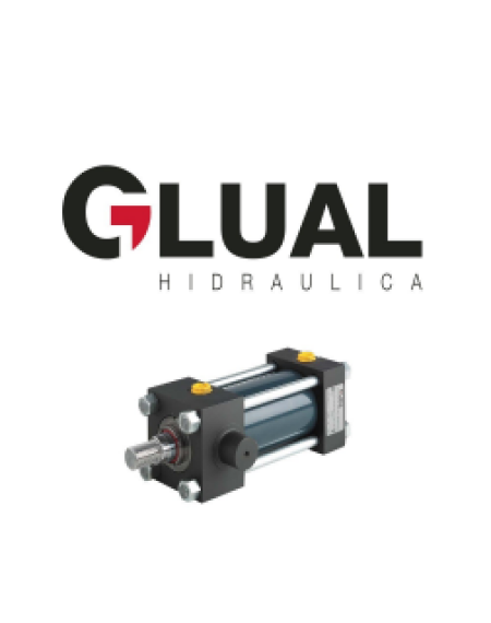 G1-KD-100/70-20 Glual Hydraulics