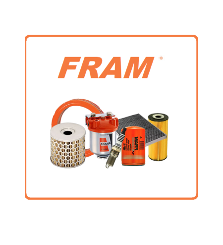 56008551        FRAM filter