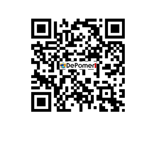 RSM 25-12B 2B11 C161 8 (flanged connections) SALVATORE ROBUSCHI