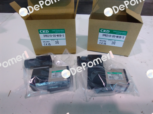 3PB219-00-M1B-3 Ckd