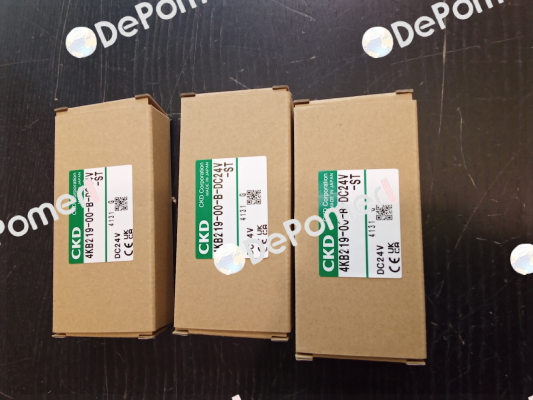 4KB219-00-B-DC24V-ST Ckd