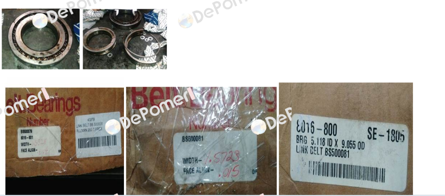 BS5000818016-800 Rexnord
