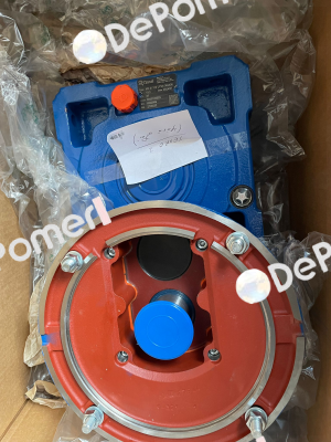 MR 2I 100 UP2A - 38x300 - 19.3 Rossi
