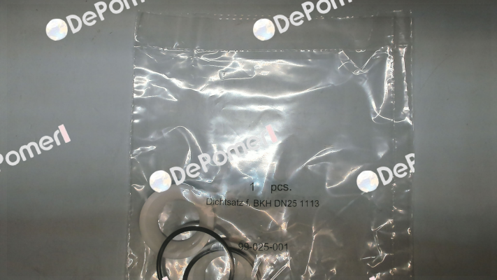 Gasket set for BKH DN25 1113 Pister