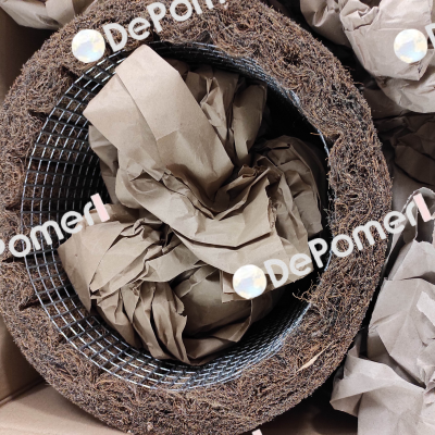Filter cartridge for HC 4935 Reitz