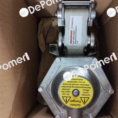 P/N: 4457-103907-000000, Type: DV 020 FPM-040 R-12 Ringspann