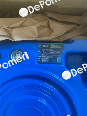R 2I 125 UP2A - 19.3  backstop device Rossi