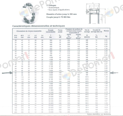 4201-060001-000000  Ringspann