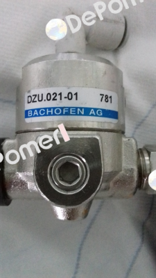 DZU.021-01 Bachofen