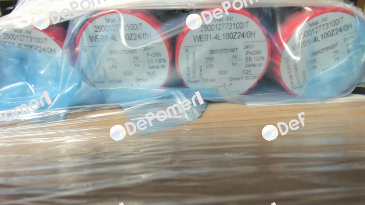 WE01-4L100Z24/0H (1367100710) Voith