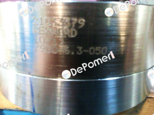 BSD 7900-6.3-050 Rexnord