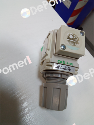 R1000-8G-W-LNT Ckd