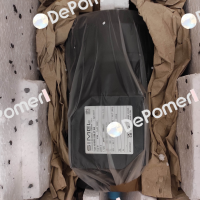 Typ 49/80R-1100-2T IE3 Simel