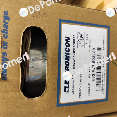 E62.R28-503L30 Electronicon