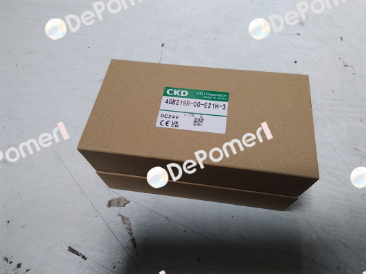 4GB219R-00-E21H-3 Ckd