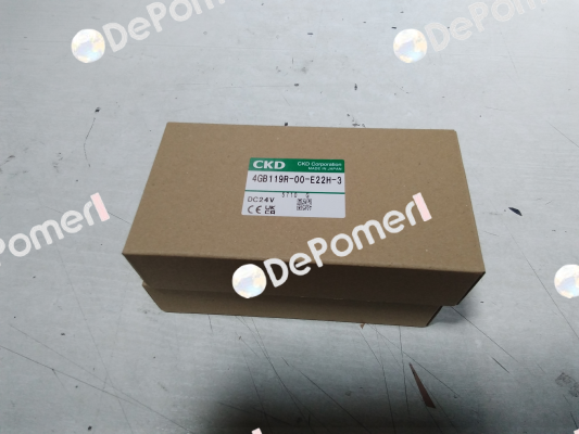 4GB119R-00-E22H-3 Ckd