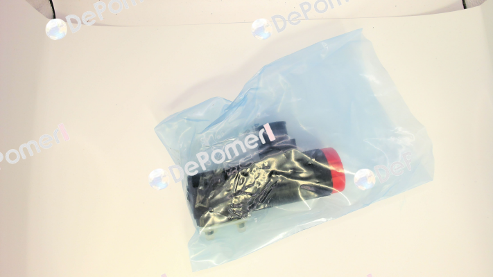 WE09-4L100Z024/0H Voith