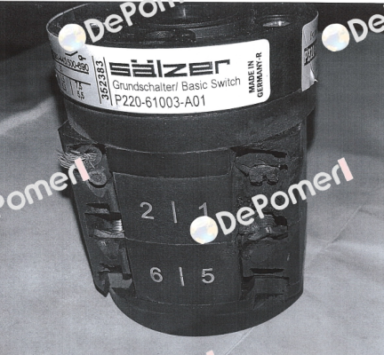 P220-61003-219M1 Salzer