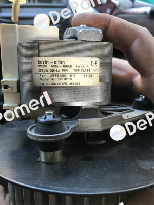 WFFB1202-015 - Part of: DSF133-42  Torin-Sifan