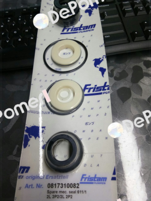0817310082 Fristam