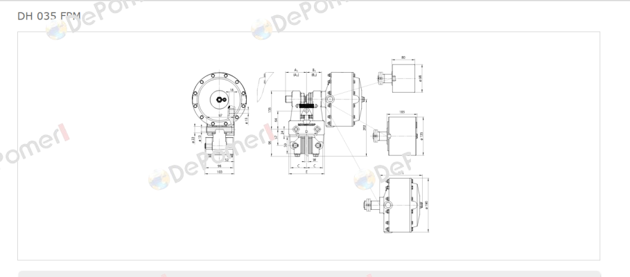 DH 035 FPM-122R-12  Ringspann