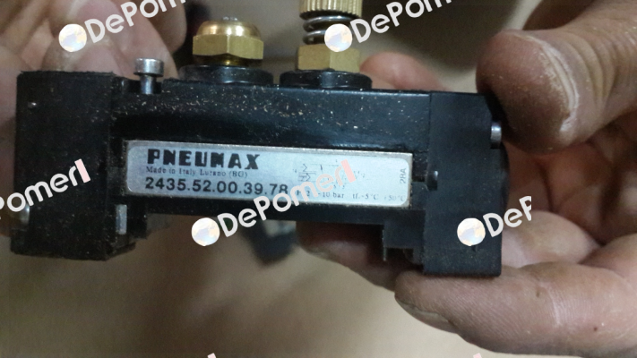 2435.52.00.39.78 Pneumax