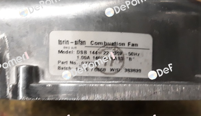 (077338) A1050014 Torin-Sifan