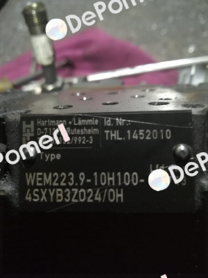 WEM223.9-10H100-4S* Voith