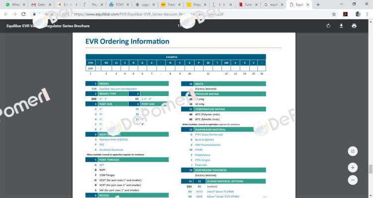 EVR- GSD6SNGX-NSX30T60FXVV Equilibar