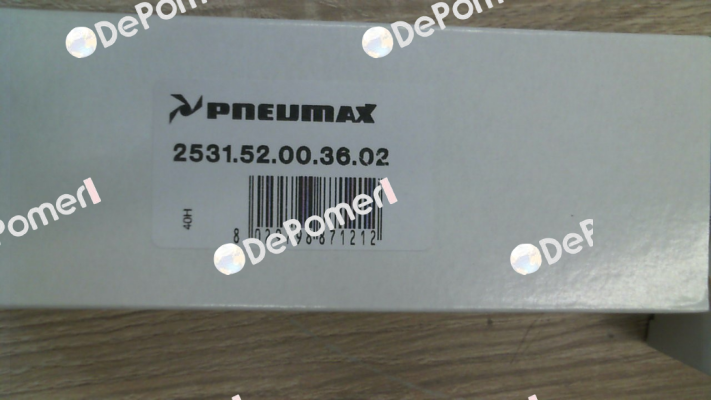 2531.52.00.36.02  (24V/DC) Pneumax