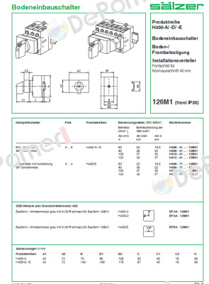 H410-41300-126M1 Salzer