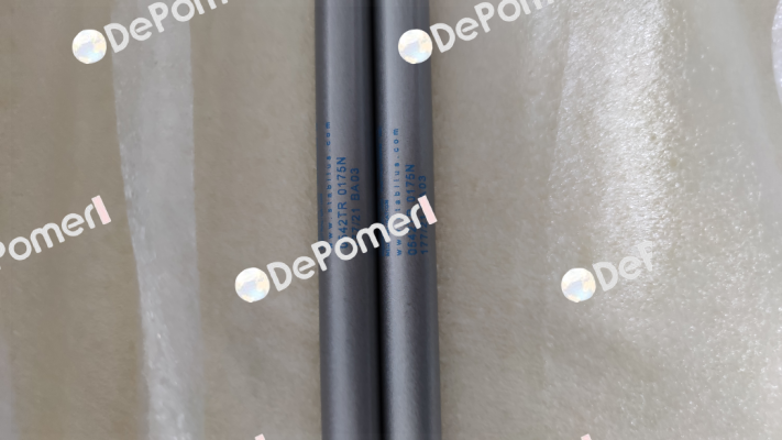 0542TR / 0175N 206/05 G 13 Stabilus