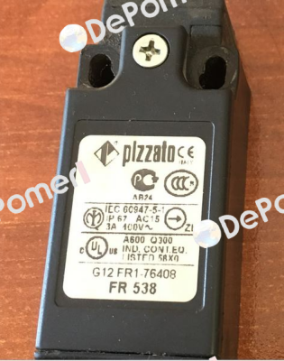 FR 538 Pizzato Elettrica