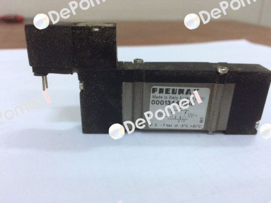 0001344531E  Pneumax