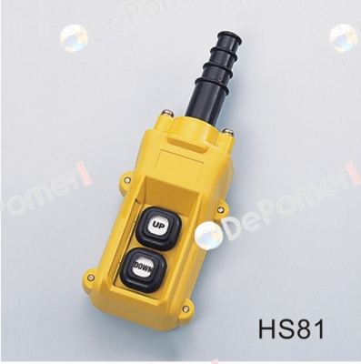 HS-81 Auspicious
