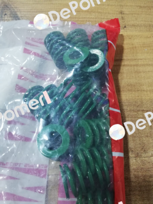 5005000091 Special Springs