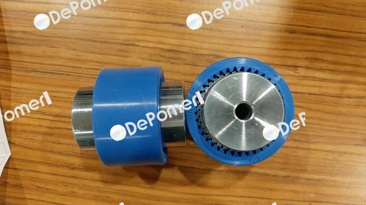 DC38 coupling Hassel
