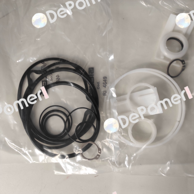 Repair kit suitable for SR100 (RI4607 + RI4649) Valbia
