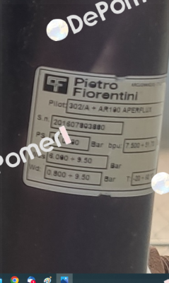 Maintenance kit 302/A from 2006 Pietro Fiorentini