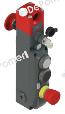 NG 2D6D411D-F31LP60 Pizzato Elettrica