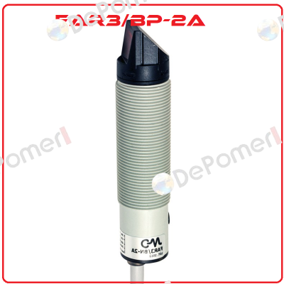 FAR3/BP-2A Micro Detectors / Diell (now Datasensing)