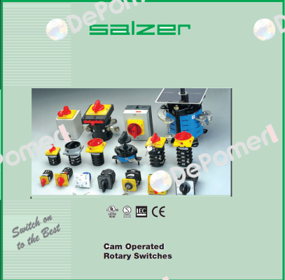 61131 Salzer