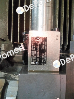 DS-250-P0-300-S-P ste* (250.01645910) Voith